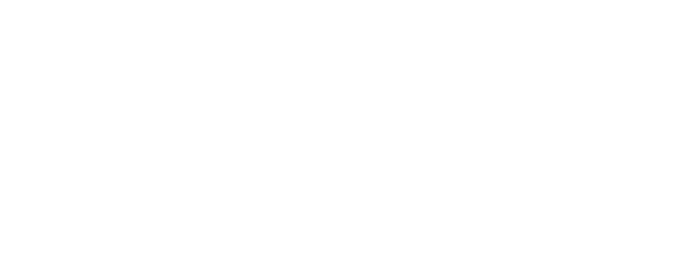 Daniel-Duran-Homes-white-logo-.webp
