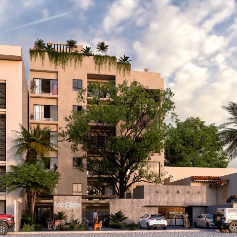 Ceiba Madre Versalles